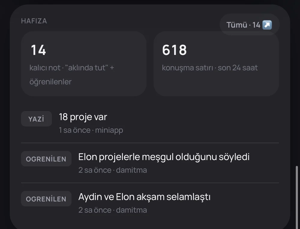 Hafıza ekranı: kalıcı notlar, son 24 saatin konuşma satırları, gece damıtılan öğrenilenler